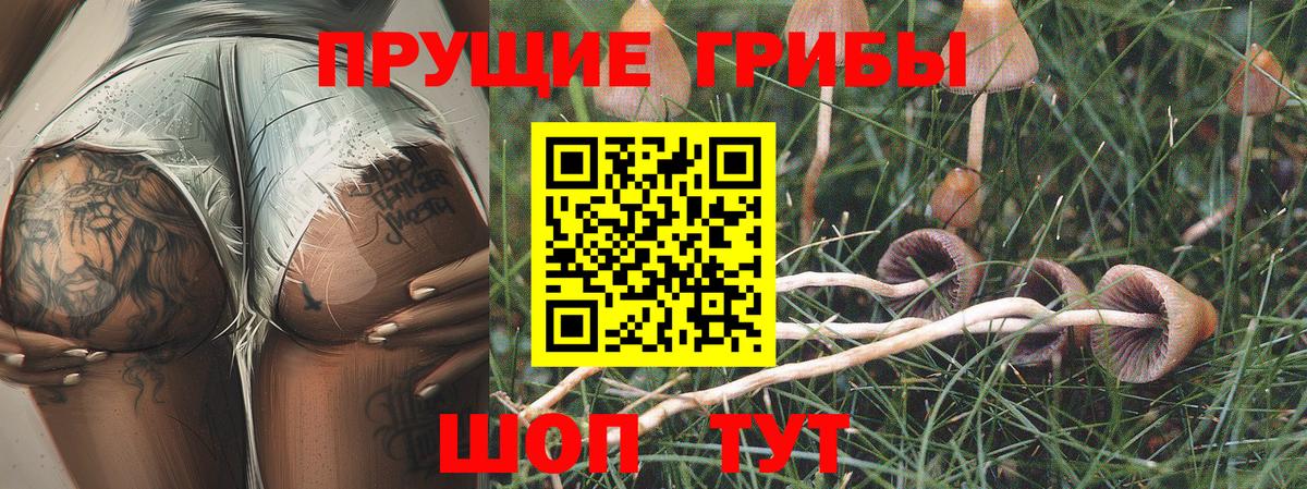 Псилоцибиновые грибы мицелий Валуйки