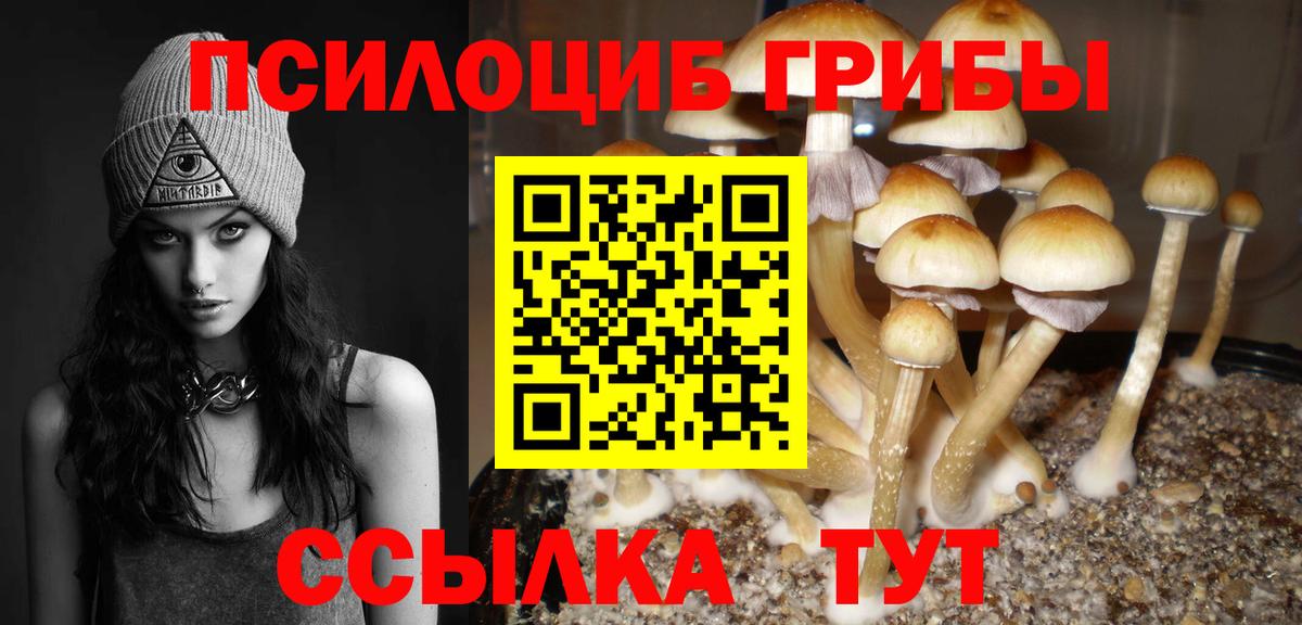 Псилоцибиновые грибы мухоморы  наркота  Валуйки  Вход с VPN 